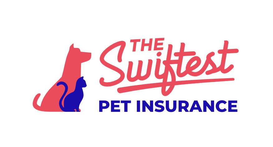 The Swiftest Pet Insurance